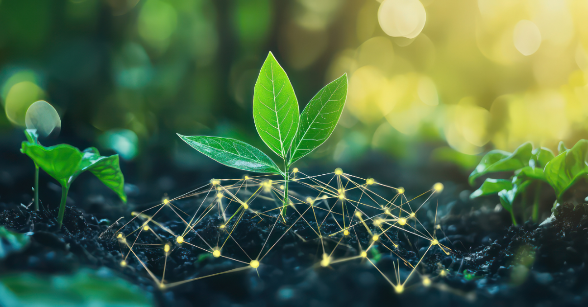 Breaking Down Silos: How Ecosystem Thinking Is Shaping the Future of Health Insurance