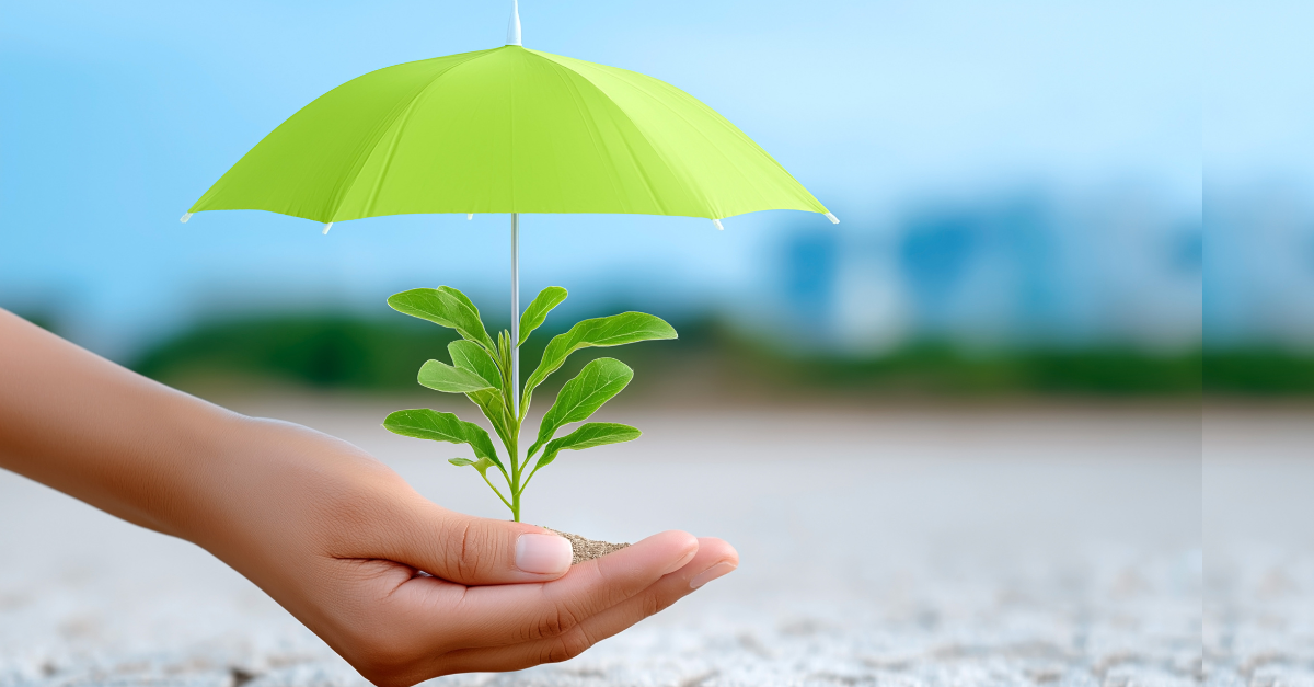 Why Agencies Are Moving Toward Full-Service Insurance Ecosystems